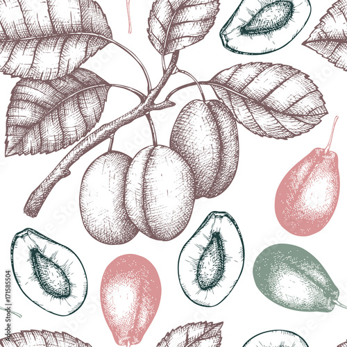Vector plum tree vintage background