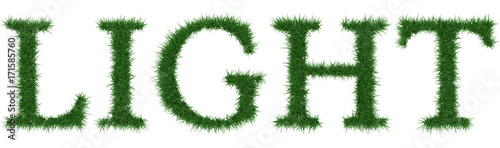 Light - 3D rendering fresh Grass letters isolated on whhite background.