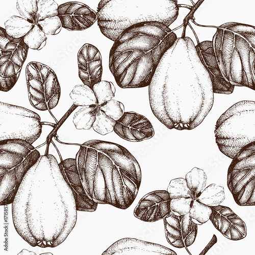 Seamless pattern with vector quince tree illustration photo