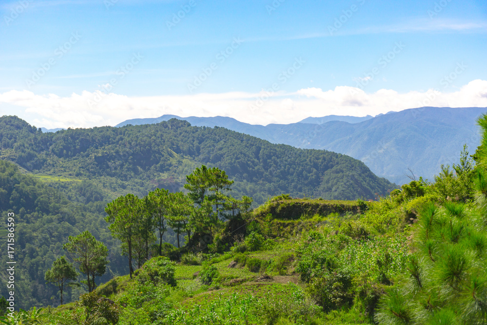Lush Mountain on a Clear Day Lush Mountain on a Clear Day