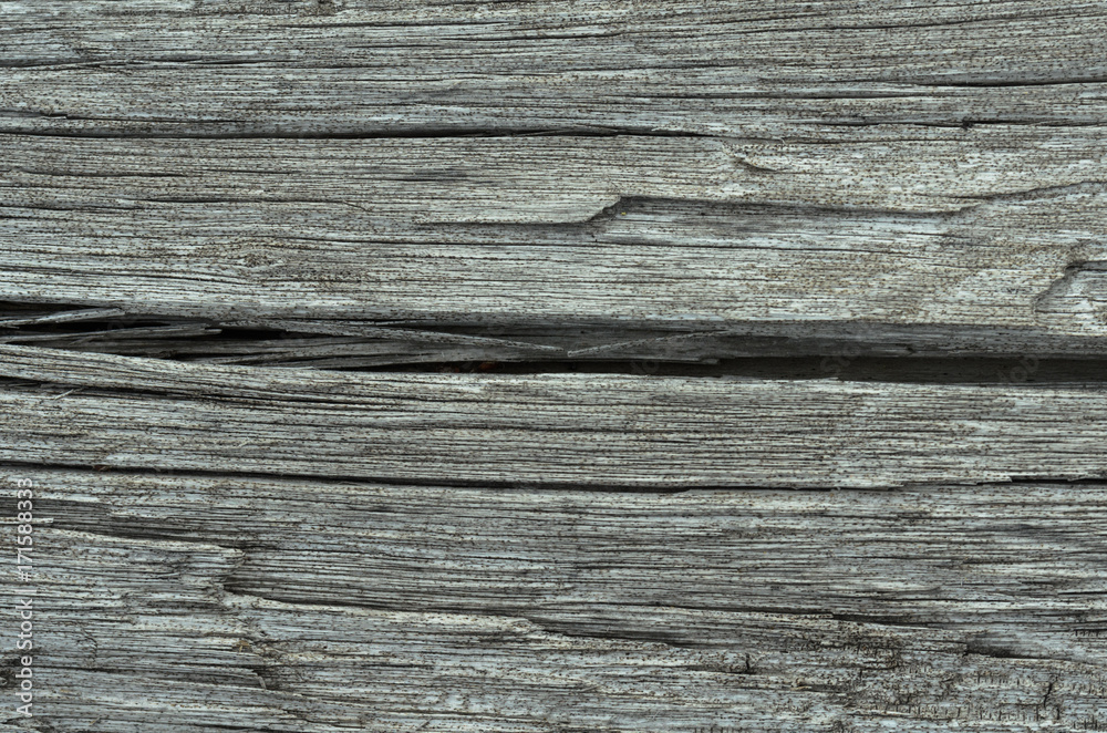 Texture of old wood covered with cracks. Texture of old wood covered with cracks.