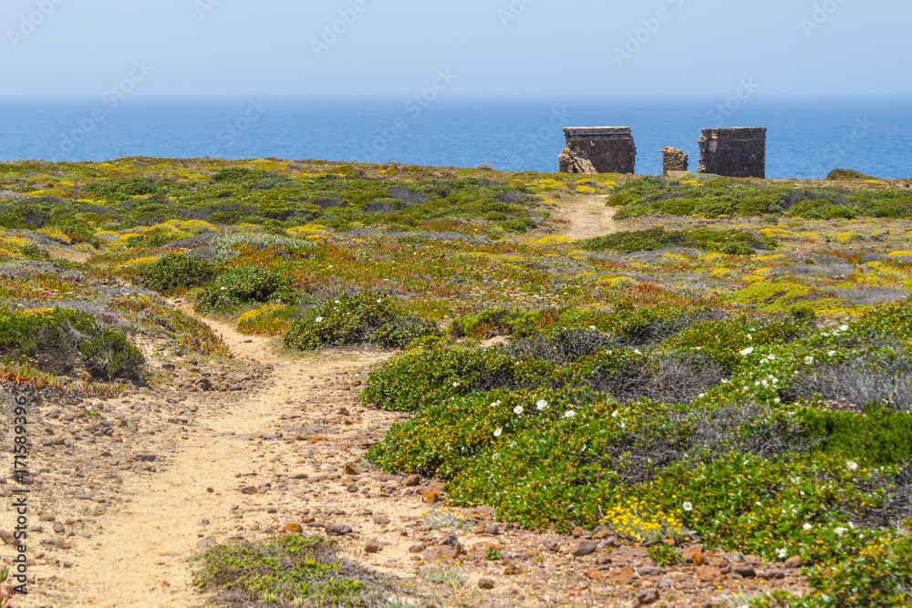 Cliffs, flowers and ruins in Arrifana