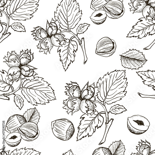 Seamless vector pattern with linear outline hazelnut. Sketches of nuts in vintage style