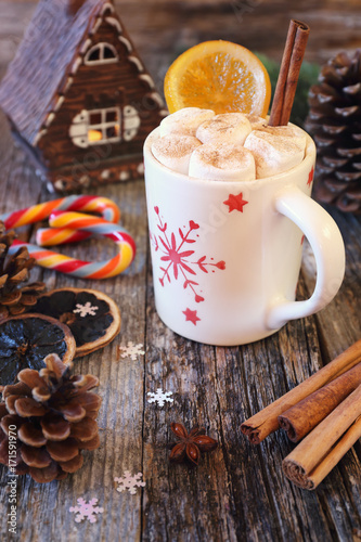 Winter drink  cup of hot chocolate with marshmallow and two french sucking candy Arc-en-ciel