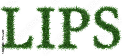 Lips - 3D rendering fresh Grass letters isolated on whhite background.