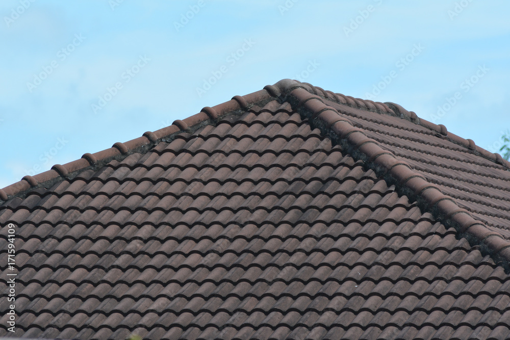 roofs, patterns