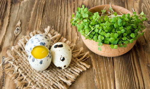 Quail eggs with green sprouts of arugula are ready for the salad. Ingredients for salad preparation