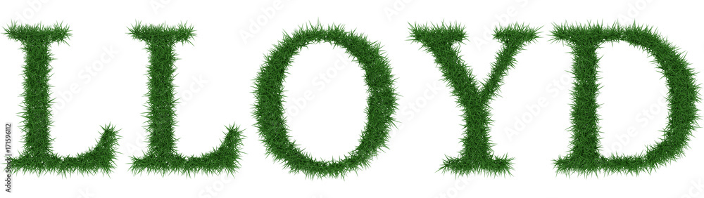 Lloyd - 3D rendering fresh Grass letters isolated on whhite background. Lloyd - 3D rendering fresh Grass letters isolated on whhite background.