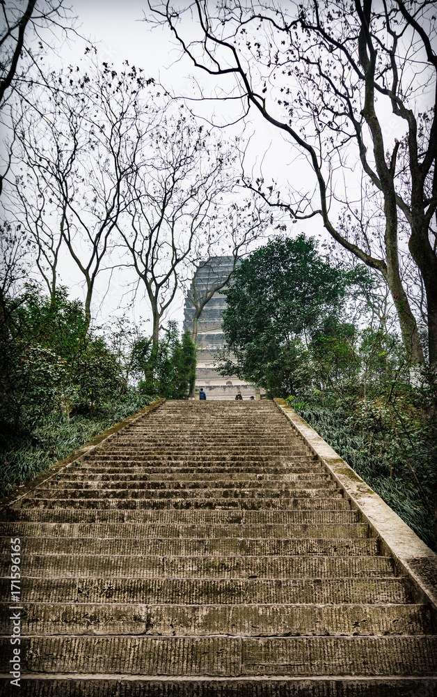 Ladder in Leshan Buddha Park in Leshan, China