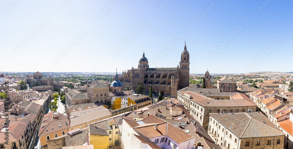 Aerial view of Salamanca Old and New Cathedrals , Community of Castile and León, Spain.  