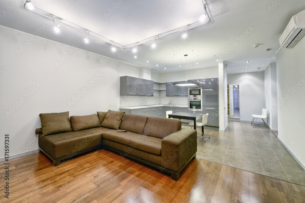 Interior of the kitchen-living room in a modern house.
