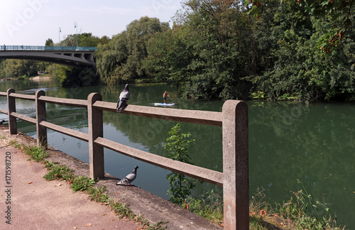 Paddle sur la Marne à Saint Maur des fossés en banlieue parisienne 