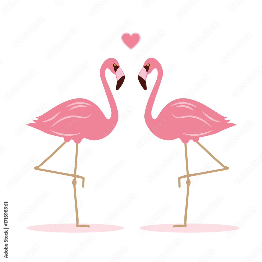 Fototapeta premium zwei flamingos haben sich lieb