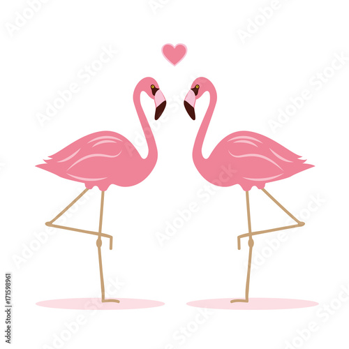 zwei flamingos haben sich lieb