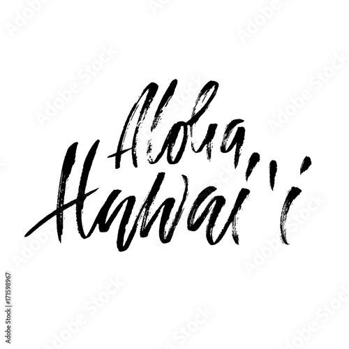 Hand drawn phrase Aloha Hawaii. Modern dry brush lettering design. Vector illustration. Handwritten inscription.