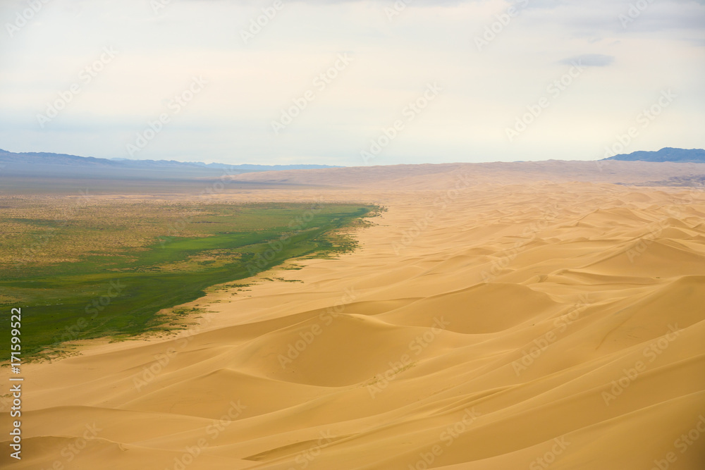 Khongor Els Sand Dune Grass Edge Gobi Desert