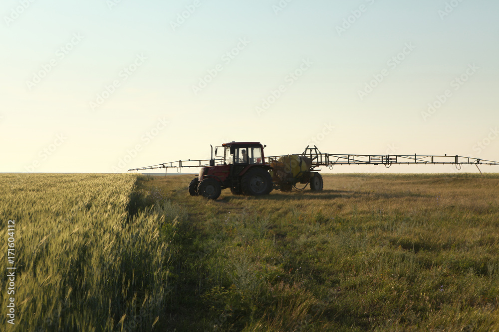 Fototapeta premium field processing