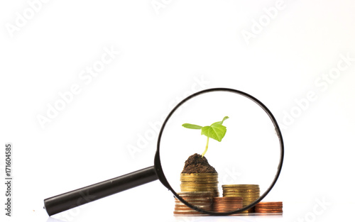 Magnifying glass with pile of coins and seedling on top,concept finance and banking