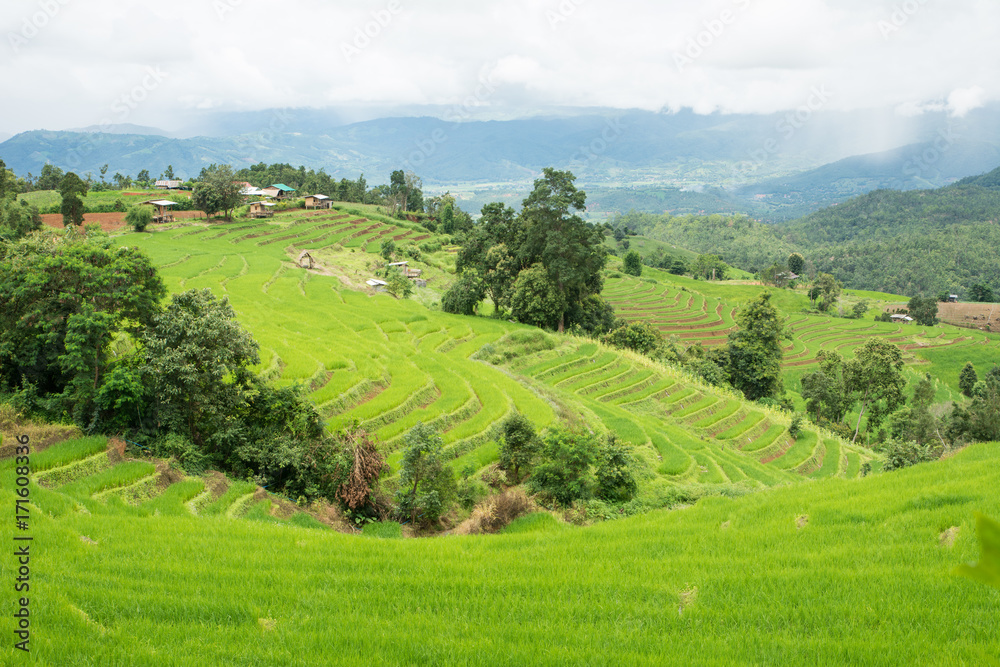 Wonderful rice terraces fields in Thailand