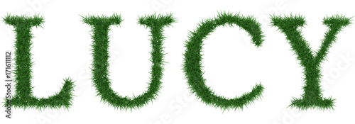 Lucy - 3D rendering fresh Grass letters isolated on whhite background.