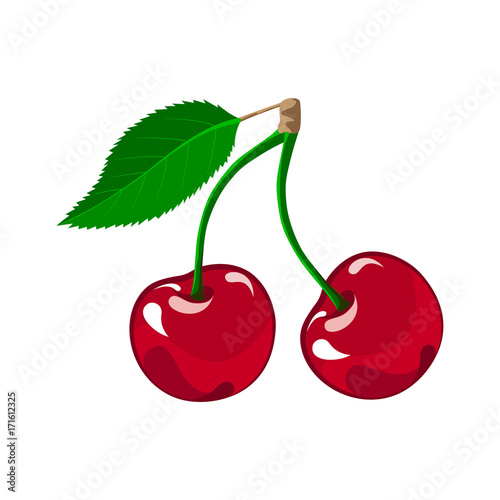 Vector illustration of ripe cherries on a white background. Berries cherries with stems and green leaves.herry