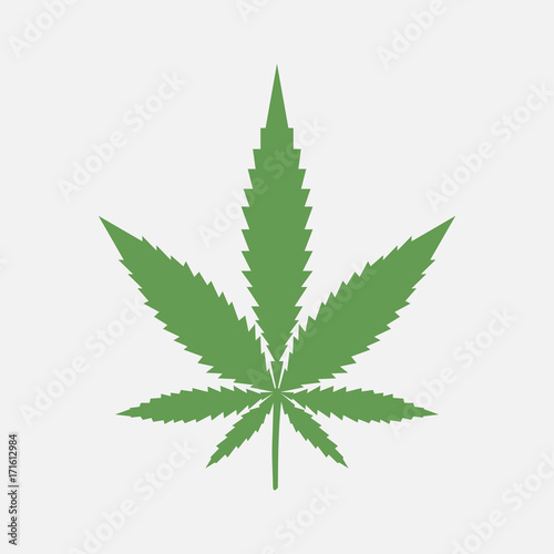 Marijuana leaf. Medical cannabis. Plant. Vector illustration.