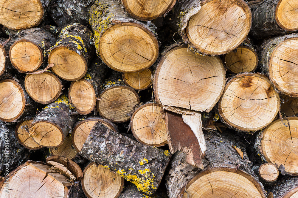 holz stücke hintergrund struktur holz stücke hintergrund struktur