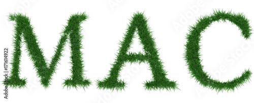 Mac - 3D rendering fresh Grass letters isolated on whhite background.