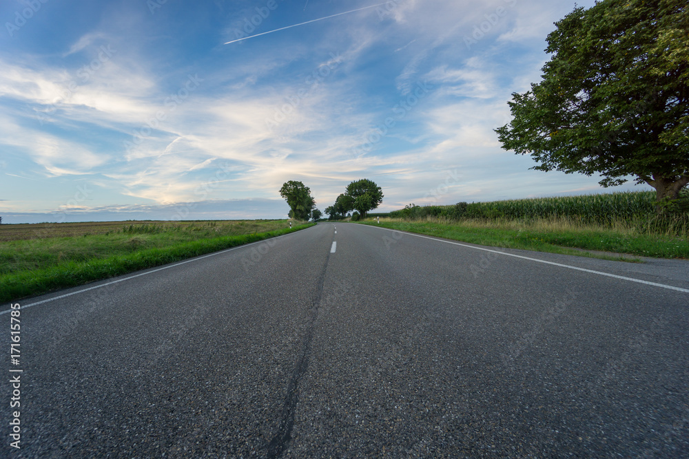 Fototapeta premium Curved road through nature and corn fields in colorful light of dawn and blue sky