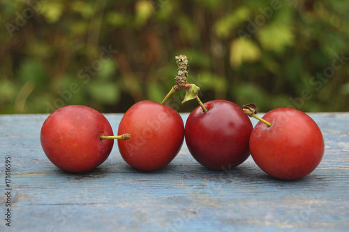 Red plums on a table close up. Plums, garden, fruit, vitamins
