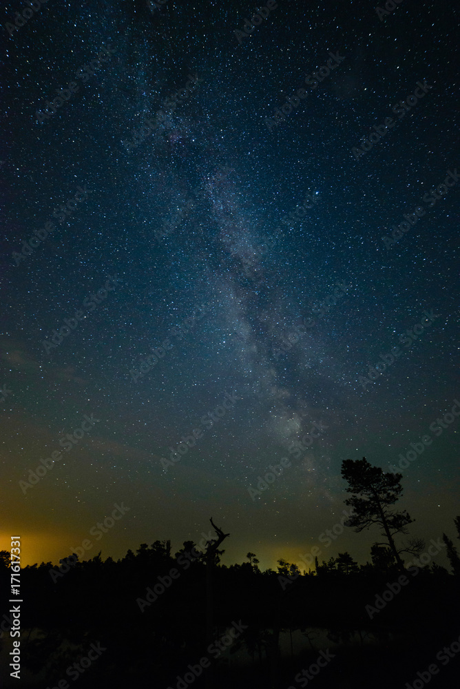 colorful milky way galaxy seen in night sky over trees