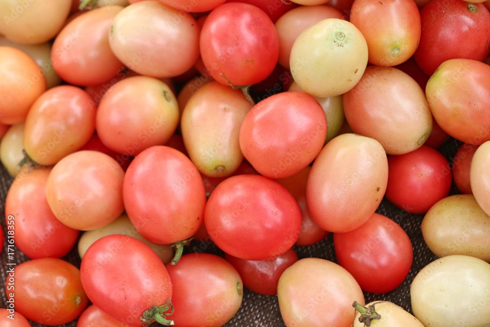 tomatoes in the market tomatoes in the market