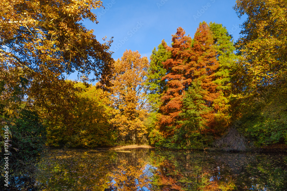 Obraz premium Autumn Landscape. Park in Autumn