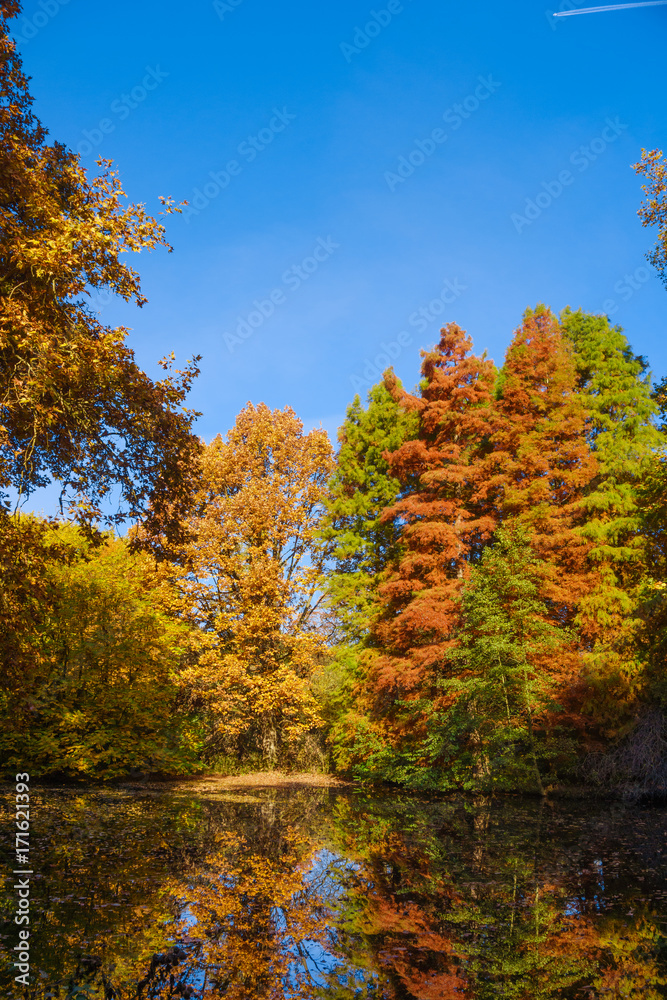 Autumn colors on the lake. Autumnal Park. Autumn Trees Autumn colors on the lake. Autumnal Park. Autumn Trees