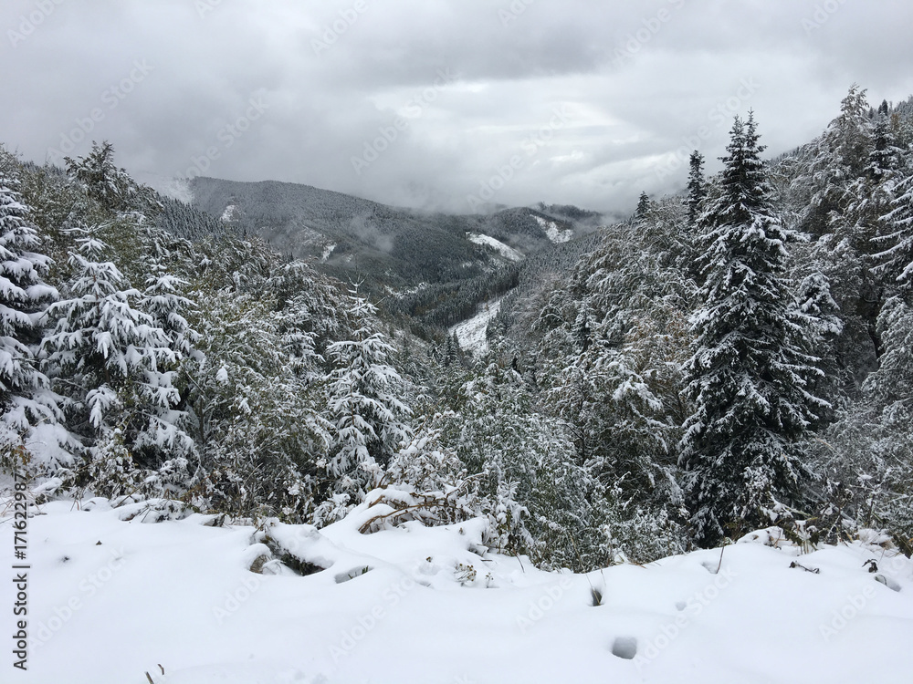 Snowy Low Tatras National Park