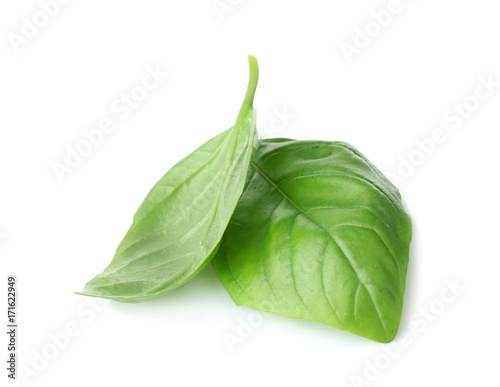 Two leaves of green fresh organic basil isolated on white