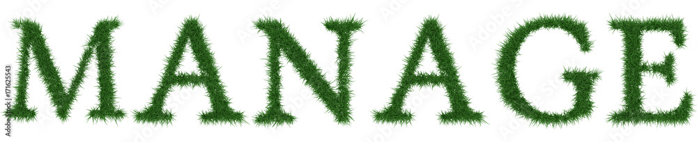 Manage - 3D rendering fresh Grass letters isolated on whhite background.