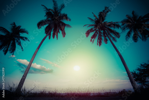 Fototapeta Naklejka Na Ścianę i Meble -  Silhouette Coconut Palm trees on tropical beach with colourful sunset sky in twilight time at Phuket province, Southern of Thailand.