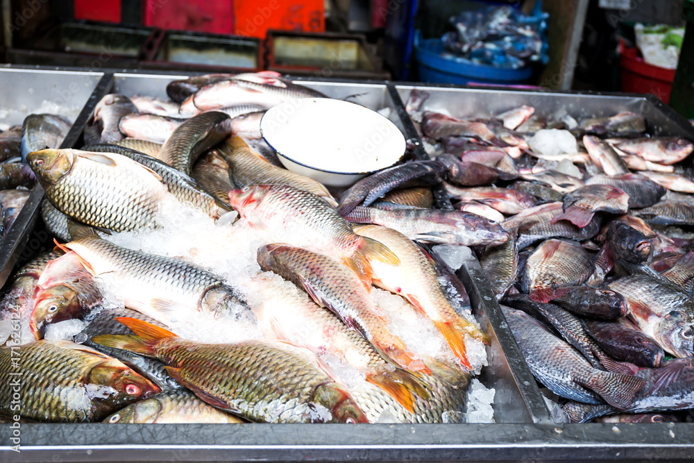 Group of fresh fish in market