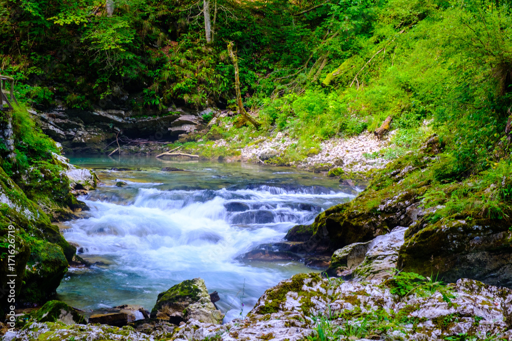 Fototapeta premium Waterfall at Soteska vintgar, Slovenia (The Vintgar Gorge or Bled Gorge)