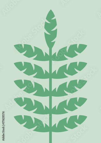 Plant Illustration