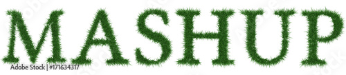 Mashup - 3D rendering fresh Grass letters isolated on whhite background.