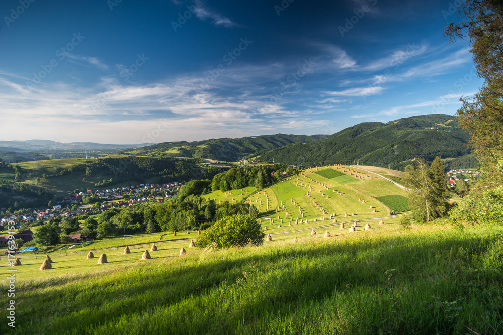 Sianokosy Rytro, Obłazy Ryterskie, Beskid Sądecki,małopolska