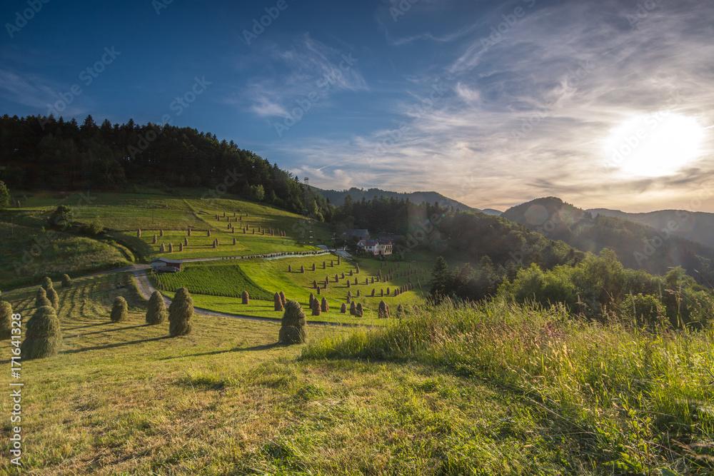 Obraz premium Sianokosy Rytro ,Obłazy Ryterskie,Mikołaska