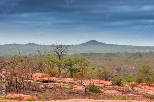 Fotografía Green rolling hills covered in acacia trees, Kruger National Park, South Africa