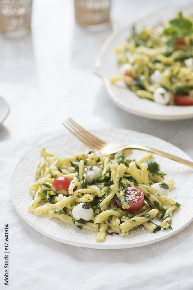Gemelli pasta salad