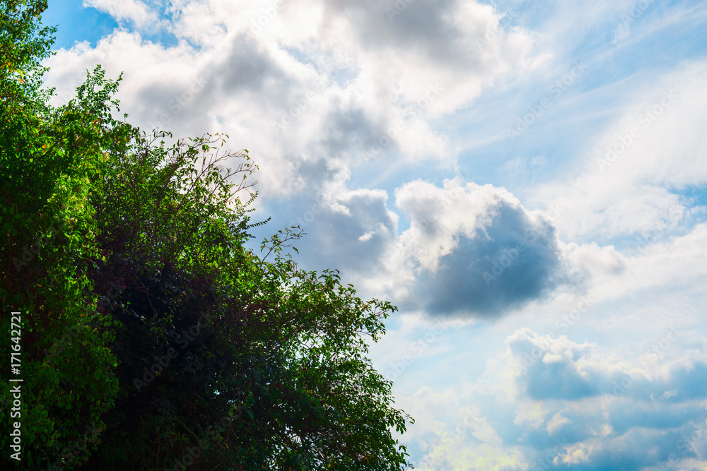 Obraz premium Clouds with green