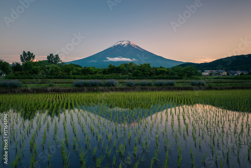 Landscape with Fujiyama and rice fields, Japan photo