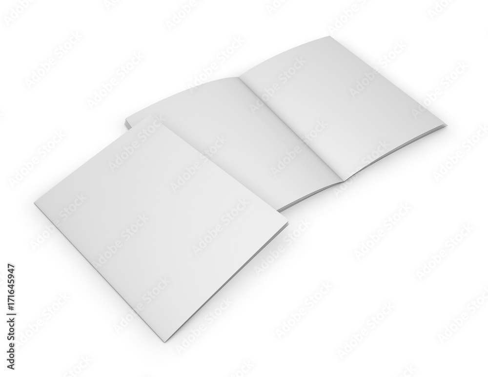 Two catalogs blank cover and inside pages mock up. Two catalogs blank cover and inside pages mock up.
