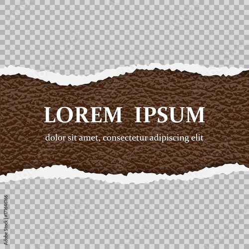 Realistic vector torn paper with ripped edges with place for text.